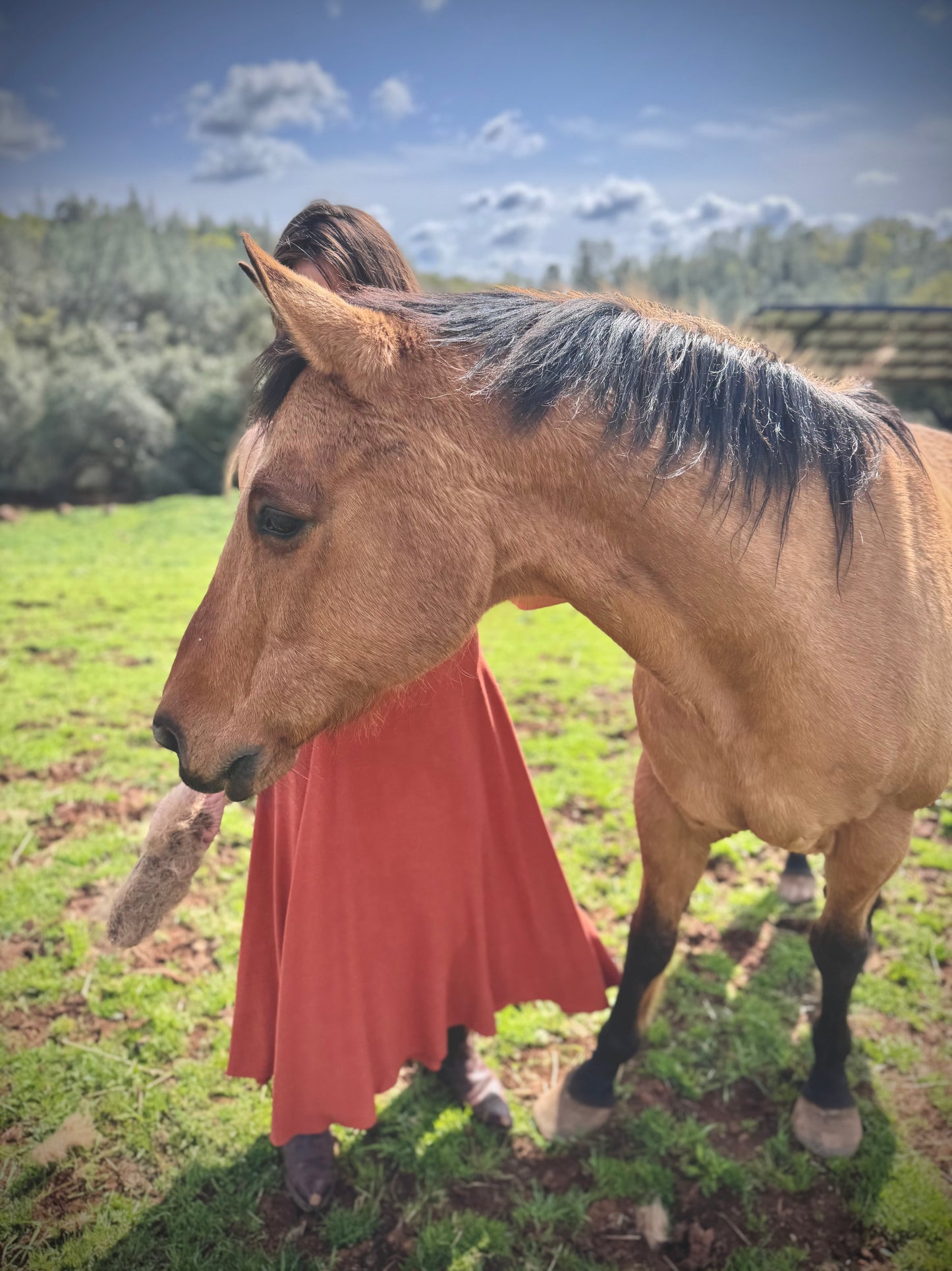 Elsie Wrap Skirt - Terracotta