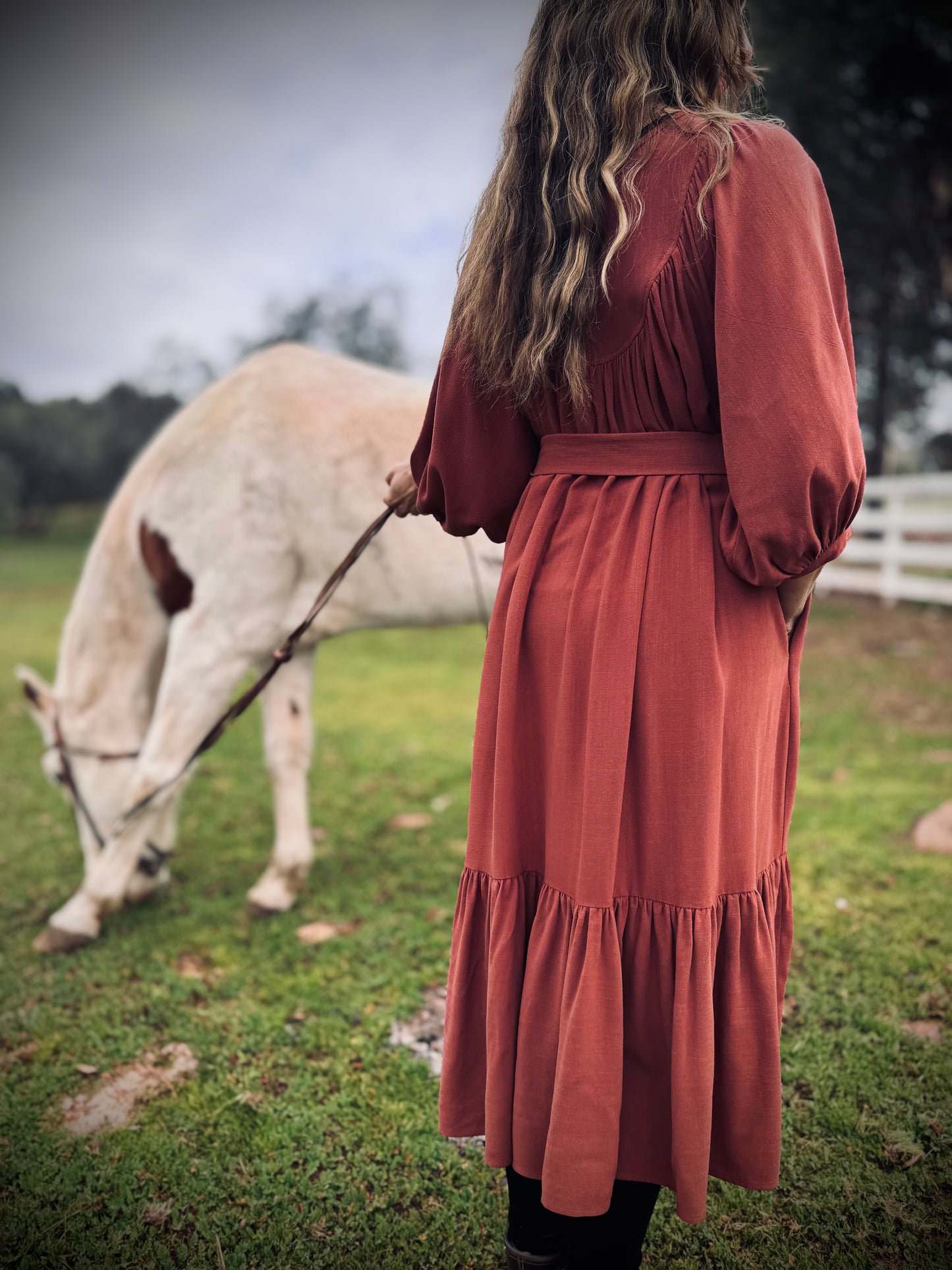 Margaret Poet Dress in Sienna