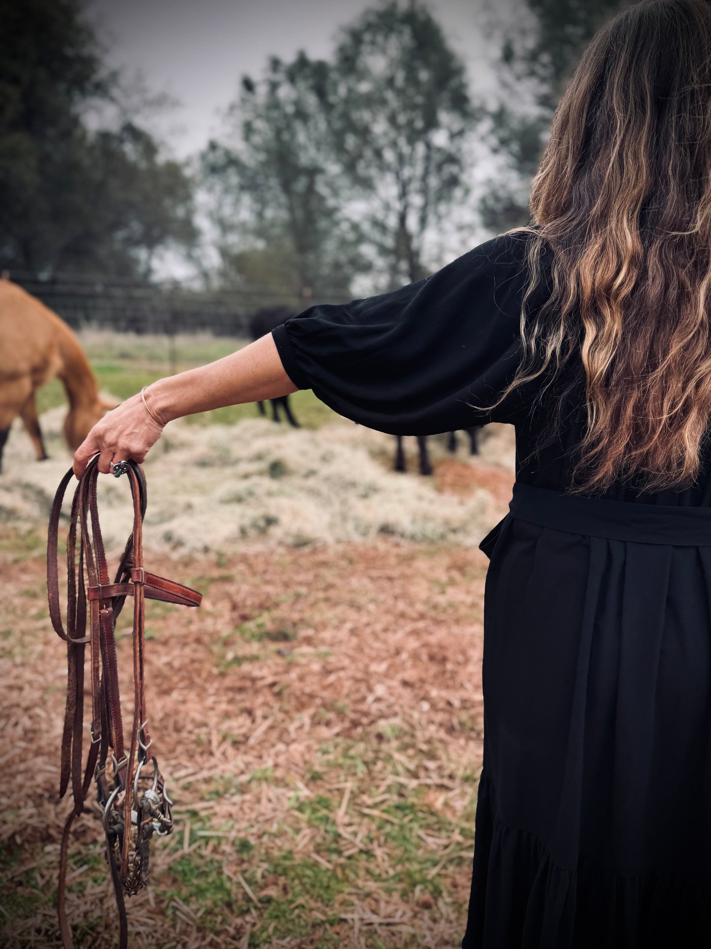 Margaret Poet Dress in Black