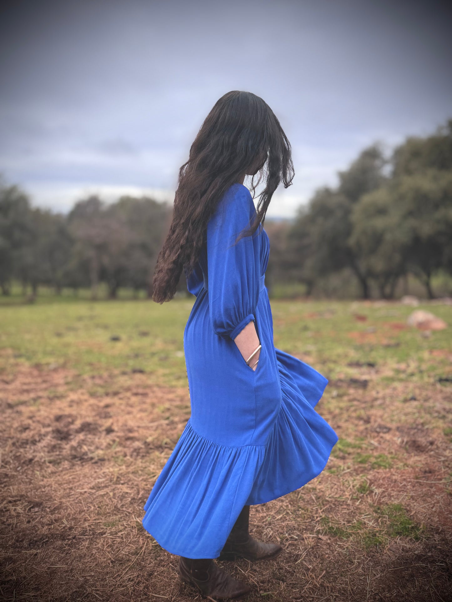 Margaret Poet Dress in Royal