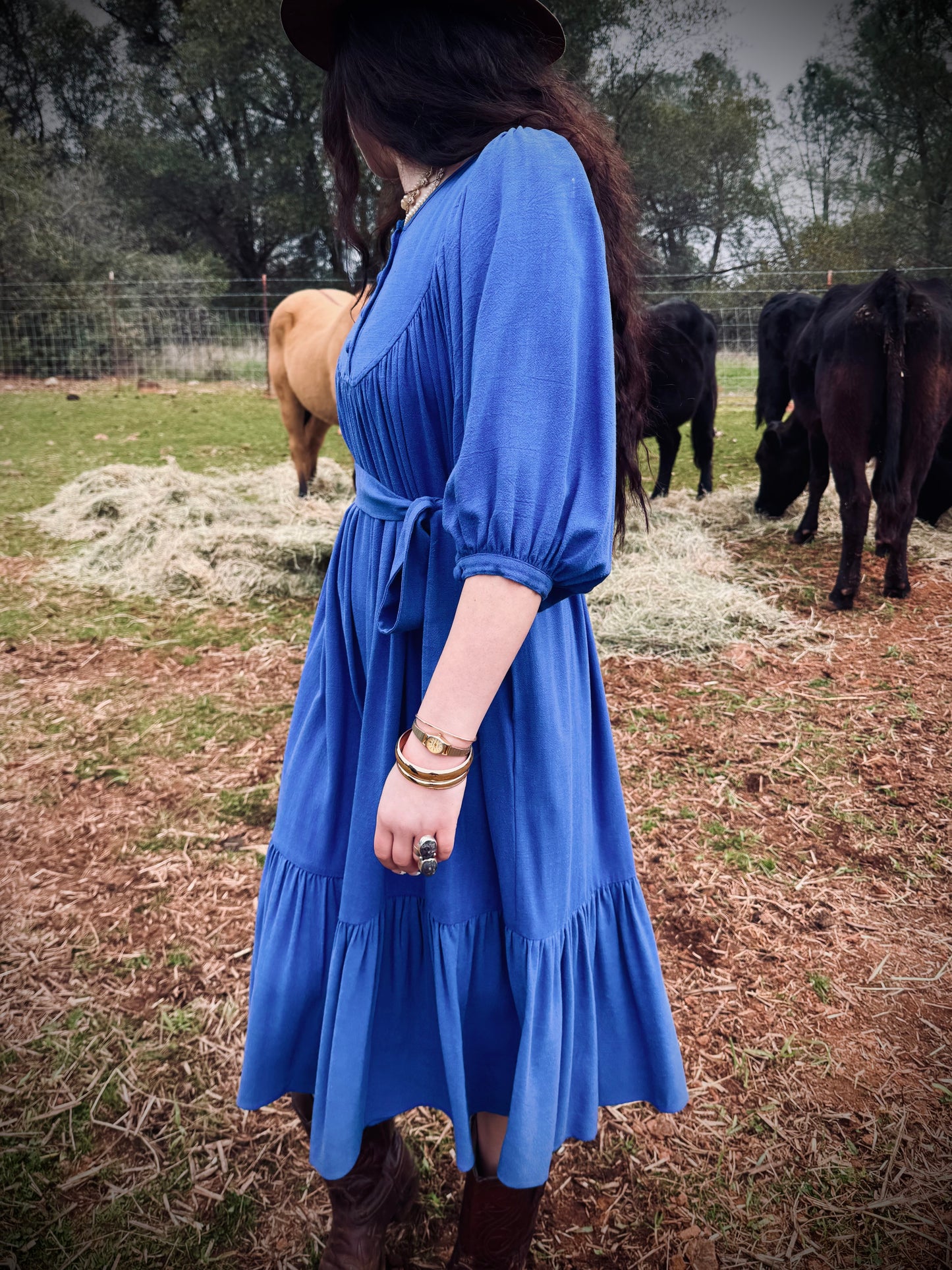 Margaret Poet Dress in Royal