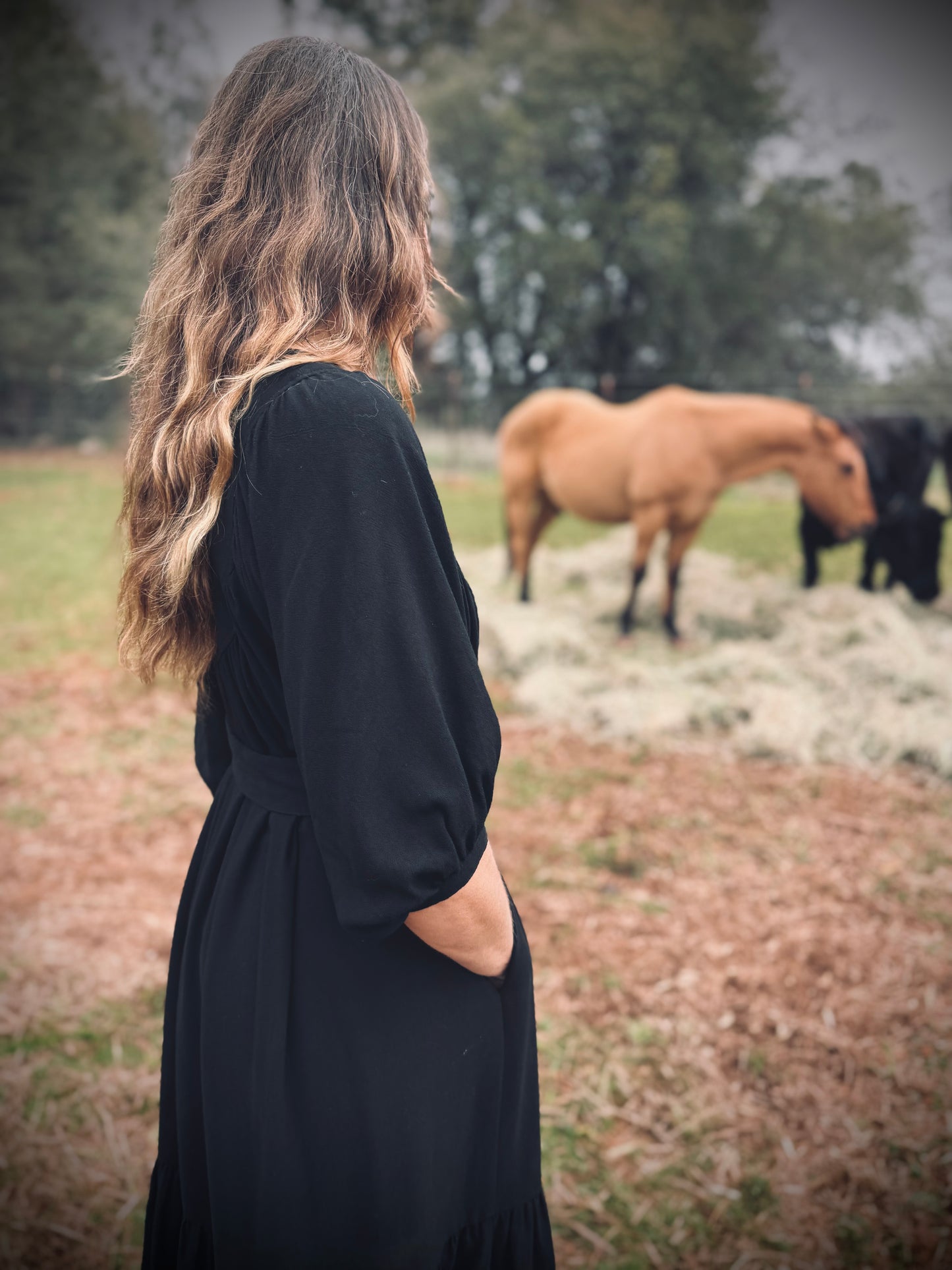 Margaret Poet Dress in Black