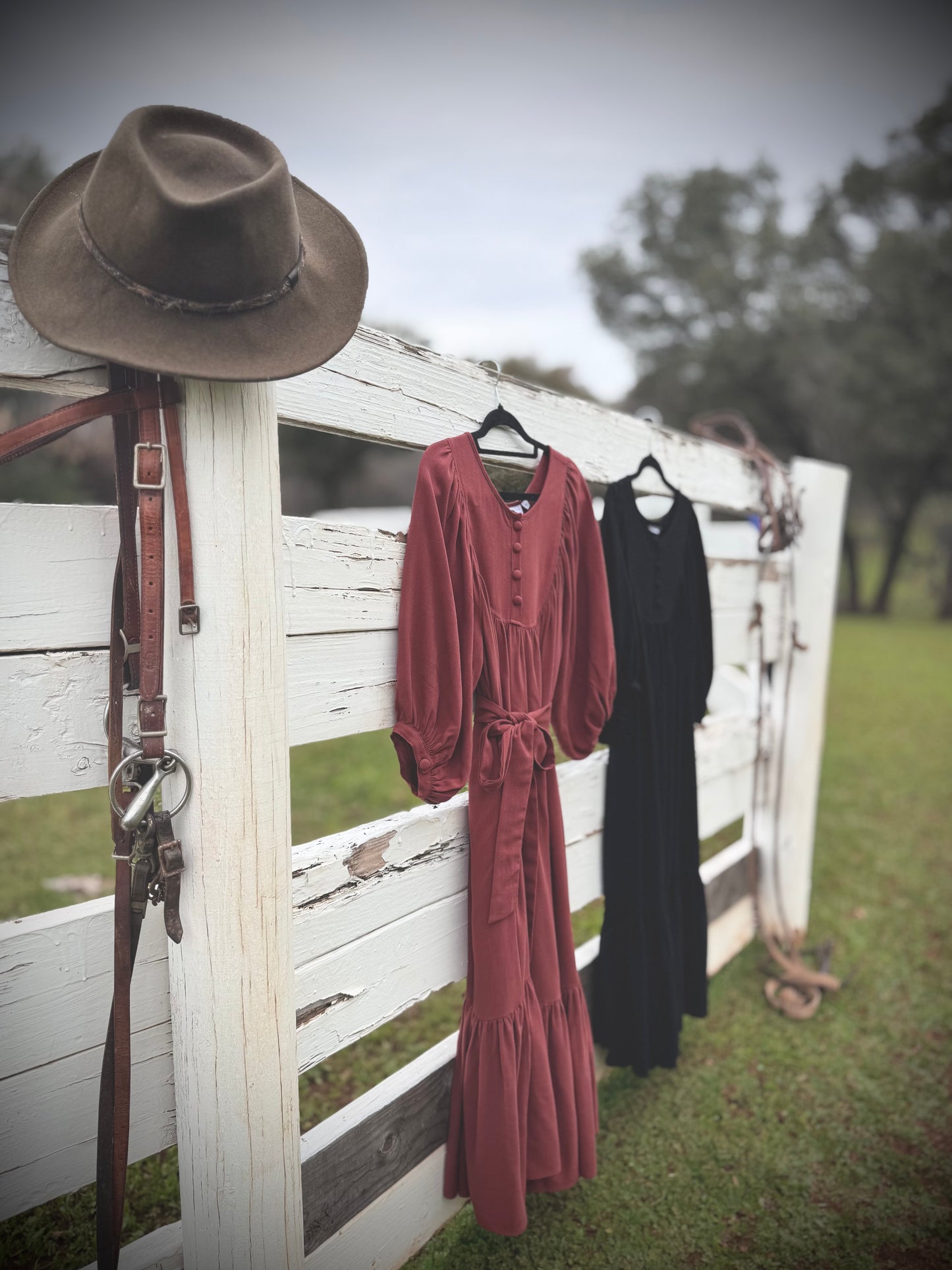 Margaret Poet Dress in Sienna