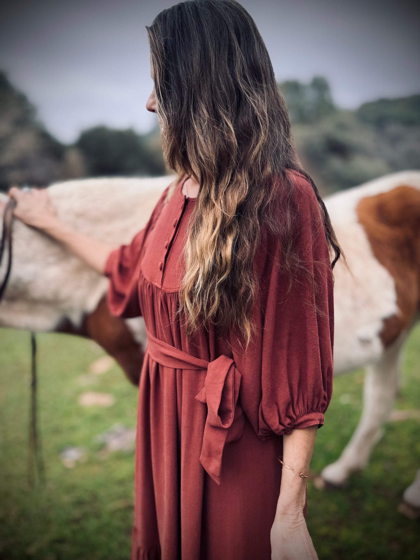 Margaret Poet Dress in Sienna