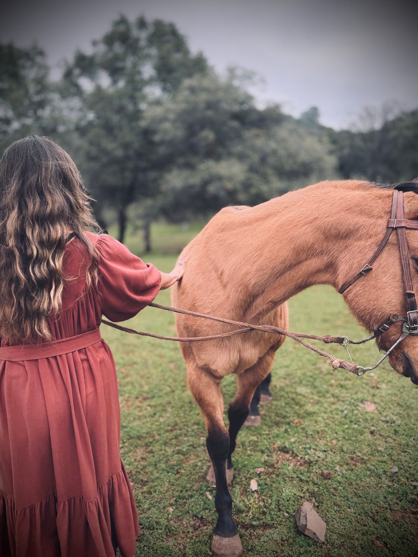 Margaret Poet Dress in Sienna