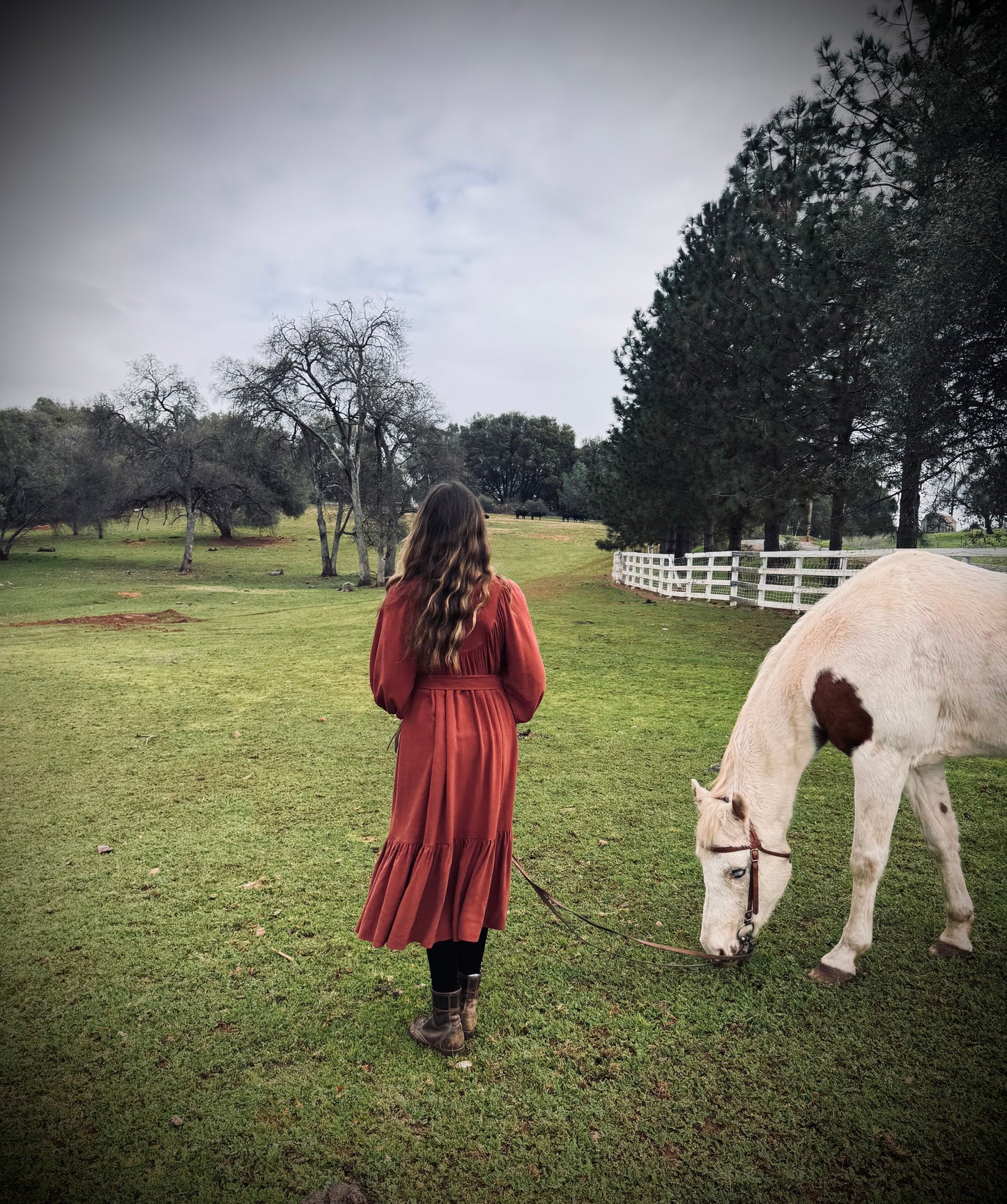Margaret Poet Dress in Sienna
