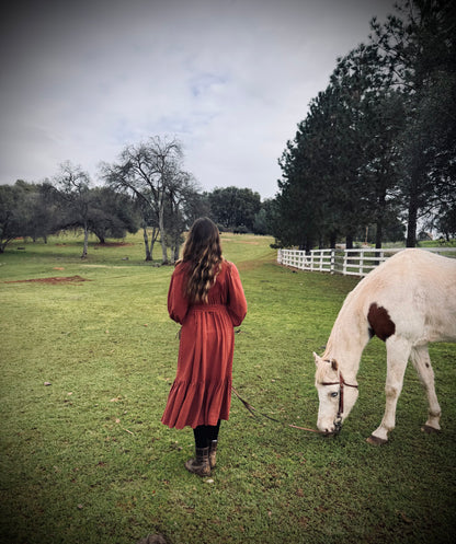 Margaret Poet Dress in Sienna