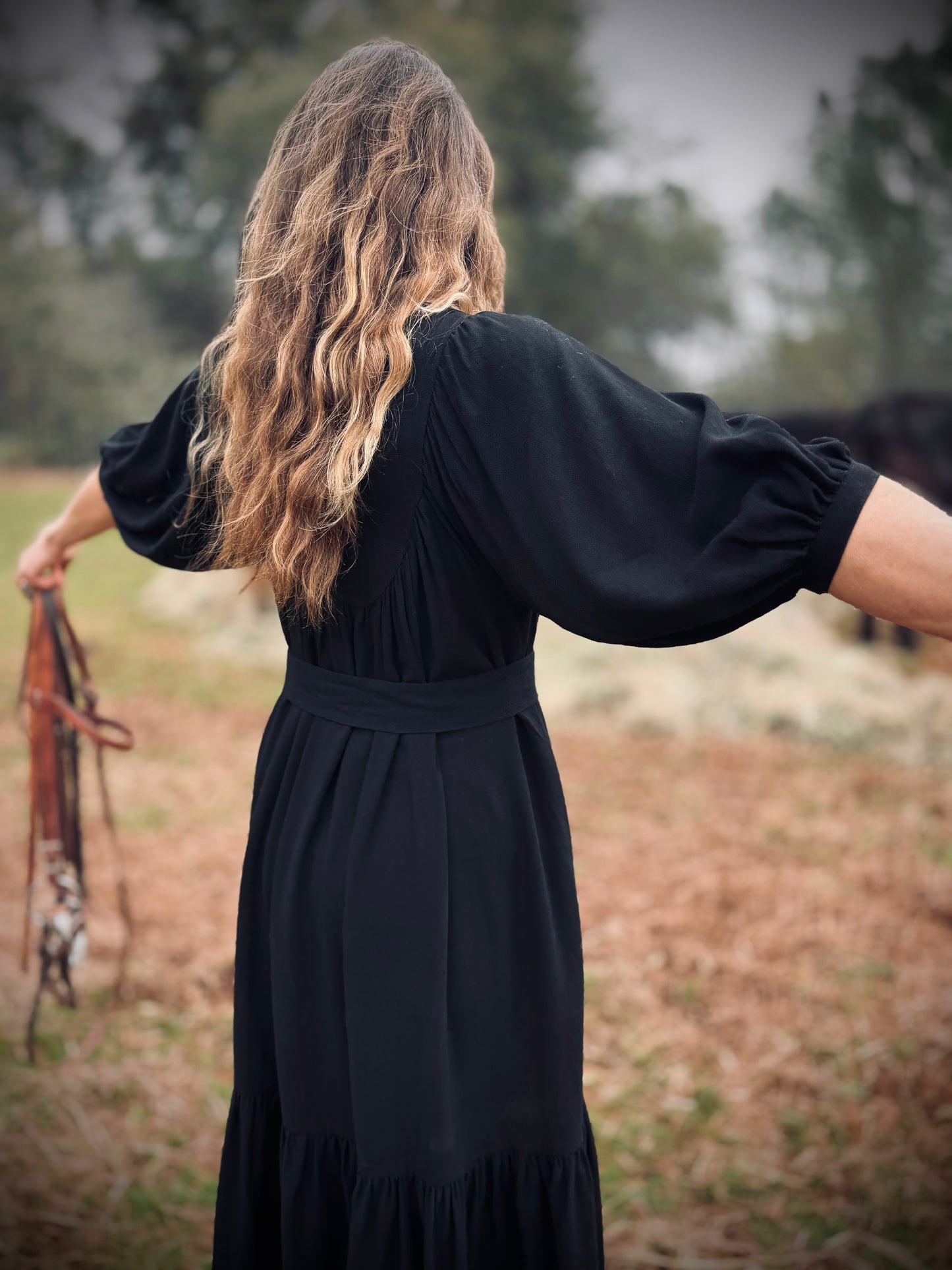 Margaret Poet Dress in Black