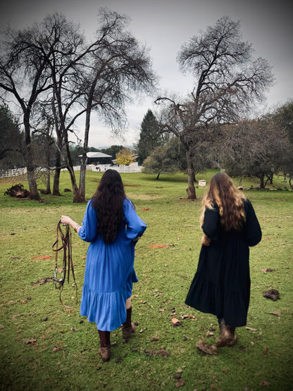 Margaret Poet Dress in Royal
