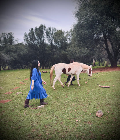 Margaret Poet Dress in Royal