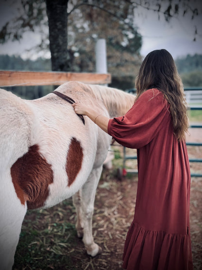 Margaret Poet Dress in Sienna