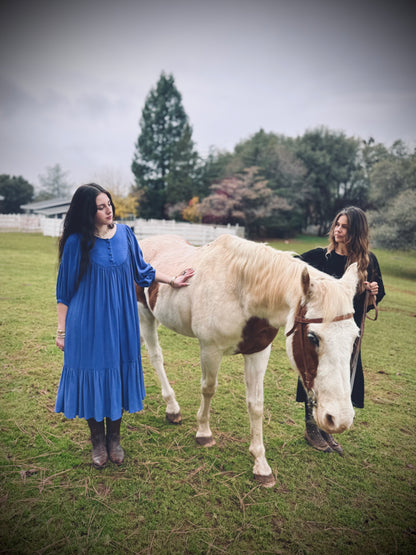 Margaret Poet Dress in Royal