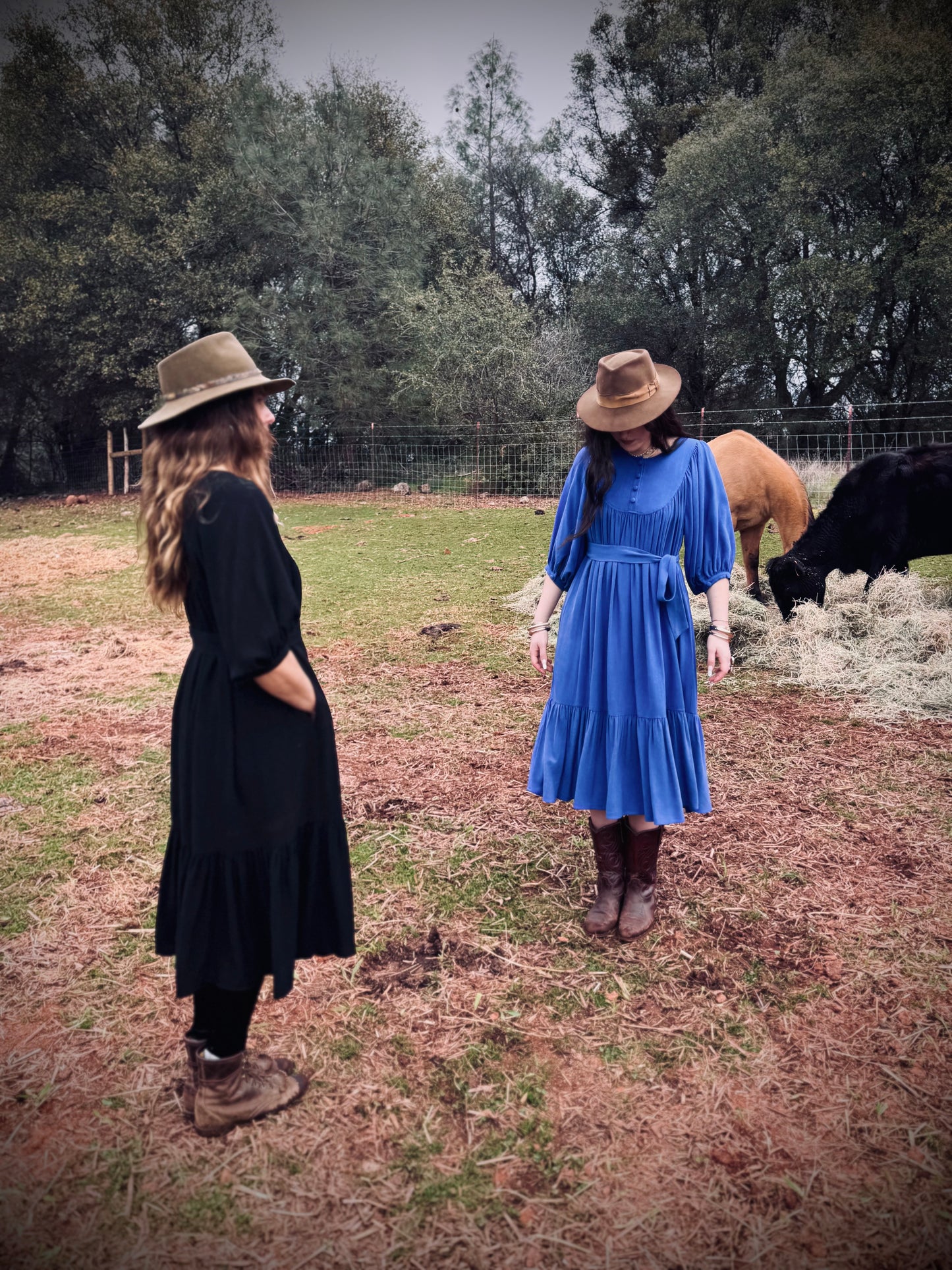 Margaret Poet Dress in Royal